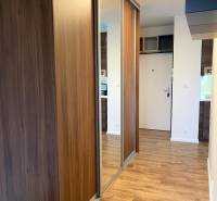 PRENÁJOM NÁDHERNÝ 3-IZBOVÝ BYT MAMAPAPA BA IV DÚBRAVKA - Vstupná hala 3-izbového bytu s podlahou s dreveným dekorom a zrkadlovou skriňou.