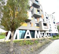 PRENÁJOM NÁDHERNÝ 3-IZBOVÝ BYT MAMAPAPA BA IV DÚBRAVKA - Budova s nápisom a stromom na ulici Nejedlého v Bratislave - Dúbravke.