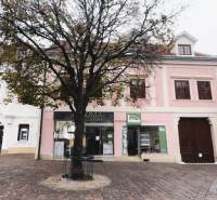 Prenájom obchodného priestoru, Hauptstraße, Hauptstraße, Eisenstadt - Obchodné priestory na Hauptstraße v Eisenstadte s dreveným dekorom, stromom a historickými budovami.