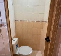 PRENÁJOM - 1 izbový byt v Šali na prenájom  - Toaleta v 1-izbovom byte s béžovými obkladačkami a drevenými dverami.