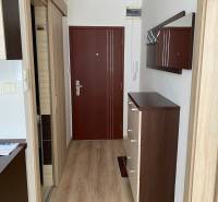 PRENÁJOM – 1-izbový byt po kompletnej rekonštrukcii, Šaľa – Bottova  - Chodba s podlahou s dreveným dekorom, šatníkovou skriňou a vešiakovou stenou v 1-izbovom byte.
