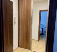 Prenájom 2-izb kompletne zariadený PET FRIENDLY byt BA II - Chodba s podlahou s dreveným dekorom, vstavanej skrine v 2-izbovom byte.