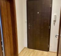 Prenájom 2-izb kompletne zariadený PET FRIENDLY byt BA II - Vstupná hala v 2-izbovom byte s podlahou s dreveným dekorom a tmavými dverami.