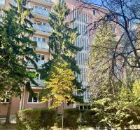 Prenájom 2-izb kompletne zariadený PET FRIENDLY byt BA II - Bytový dom obklopený zeleňou na Zálužickej ulici v Bratislave, Ružinove.