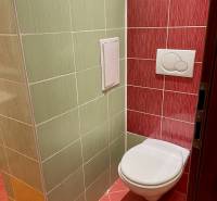 Prenájom 2-izb kompletne zariadený PET FRIENDLY byt BA II - Farebná kúpeľňa s toaletou a zeleno-červenými obkladačkami v 2-izbovom byte.