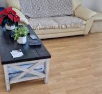 Prenájom 3 - izbový byt Bratislava - Petržalka - Pohovka a drevený stolík v 3-izbovom byte s podlahou s dreveným dekorom.