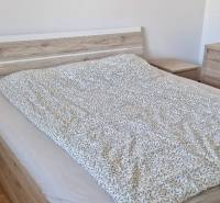 Prenájom 3 - izbový byt Bratislava - Petržalka - Spálňa s posteľou a nábytkom v dekore dreva v 3-izbovom byte.