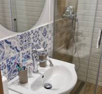 Prenájom 3 - izbový byt Bratislava - Petržalka - Kúpeľňa v 3-izbovom byte s umývadlom, sprchou a modrobielymi obkladačkami.