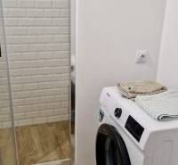 Prenájom 3 - izbový byt Bratislava - Petržalka - Kúpeľňa v 3-izbovom byte s práčkou, zrkadlom a podlahou s dreveným dekorom.
