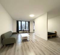 NA PRENÁJOM! Veľkometrážny 56m2 1i byt, Veľkomoravská, Trenčín - 1-izbový byt s podlahou s dreveným dekorom, sedačkou a jedálenským kútom.