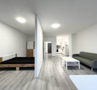 NA PRENÁJOM! Veľkometrážny 56m2 1i byt, Veľkomoravská, Trenčín - Interiér 1-izbového bytu s podlahou s dreveným dekorom, posteľou a pohovkou.