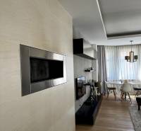 Prenájom veľkého luxusného 2izb bytu pri Bratislavskom hrade - Obývacia izba s krbom, televízorom a podlahou s dreveným dekorom v 2-izbovom byte.