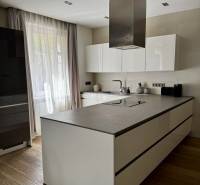 Prenájom veľkého luxusného 2izb bytu pri Bratislavskom hrade - Kuchyňa v 2-izbovom byte s ostrovom a podlahou s dreveným dekorom.