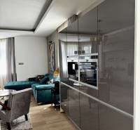 Prenájom veľkého luxusného 2izb bytu pri Bratislavskom hrade - Obývacia izba s tmavým nábytkom, pohovkou, zrkadlovými skriňami a podlahou s dreveným dekorom.