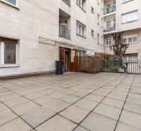 Predaj 4-izbový byt, 102m2, terasa 50m2, Bratislava-centrum, Gorkého - Terasa 4-izbového bytu na Gorkého ulici v Bratislave, ozdobená zeleňou na stene.