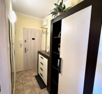 1 izb. zrekonštruovaný byt s veľkou loggiou, Karlova Ves - Útulná chodba s nábytkom a vzorovanou dlažbou v 1-izbovom byte.