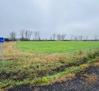 Znížená cena - Investičné pozemky  5722 m2 | Záhorská Ves - Komerčné pozemky v Záhorskej Vsi so zelenou trávou a prázdnou cestou v pozadí.