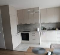 Štýlový 2-izbový byt s exkluzívnou terasou 102 m²  - Kuchyňa v 2-izbovom byte s minimalistickými skrinkami a podlahou s dreveným dekorom.