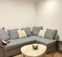 | Predaj 1-izbového bytu – Račianska, Bratislava - Sivá pohovka s vankúšmi a stolom v 1-izbovom byte s podlahou s dreveným dekorom.