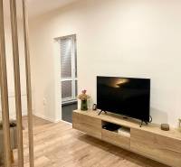 | Predaj 1-izbového bytu – Račianska, Bratislava - Izba s TV, podlahou s dreveným dekorom a stolíkom v 1-izbovom byte.