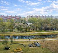 REZERVOVANÉ Prenájom  2-izbového bytu v Petržalke - Petržalka, Bratislava: Výhľad na sídlisko cez park a vodný tok pri Rusovskej ceste.
