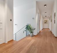 Nadštandardná 6-izbová vila v prominentnej lokalite - Chodba vo vile s drevenou podlahou, izbovými dverami a rastlinou v kvetináči.