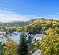 Nadštandardná 6-izbová vila v prominentnej lokalite - Výhľad z Vily na Karpatskej ulici v Marianke s lesným pozadím.