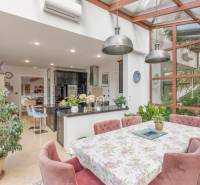 Nadštandardná 6-izbová vila v prominentnej lokalite - Kuchyňa s jedálenským stolom a rastlinami vo vile.