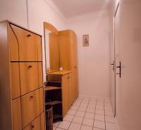 ‼️  PRENÁJOM  - 2 IZBOVÉHO BYTU, PARTIZÁNSKE SÍDLISKO ŠÍPOK ‼️ - Chodba v 2-izbovom byte s dlažbou a dreveným nábytkom.