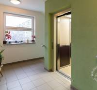 2-izbový byt v NOVOSTAVBE, klíma, balkón, Kazanská ul. - Chodba s výťahom a kvetinami Kazanská ulica, Bratislava - Podunajské Biskupice.