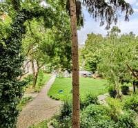 I Na predaj zrekonštruovaný 4i byt v Ružinove, Miletičova - Zeleň a strom v záhrade, výhľad z 4-izbového bytu v Bratislave, Ružinove na Miletičovej.