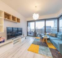 TEHELNÉ POLE | 1-izbový byt s priestrannou terasou - Obývacia izba v 1-izbovom byte s veľkou pohovkou, televízorom a podlahou s dreveným dekorom.