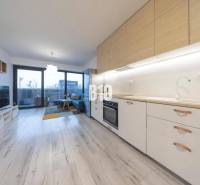 TEHELNÉ POLE | 1-izbový byt s priestrannou terasou - Interiér 1-izbového bytu s kuchynskou linkou a podlahou s dreveným dekorom.