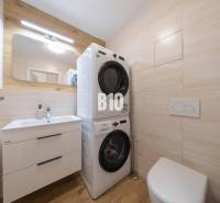 TEHELNÉ POLE | 1-izbový byt s priestrannou terasou - Kúpeľňa s práčkou a sušičkou, umývadlom a toaletou v 1-izbovom byte.