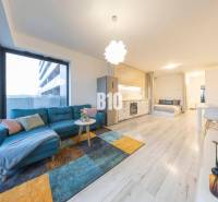 TEHELNÉ POLE | 1-izbový byt s priestrannou terasou - Obývacia miestnosť v 1-izbovom byte s rozkladacou sedačkou a podlahou s dreveným dekorom.