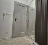 Na prenájom  plne zariadený apartmán na Južnej triede 44, Košice - Interiérová časť 1-izbového bytu s vešiakom a bielymi dverami na podlahe s dreveným dekorom.