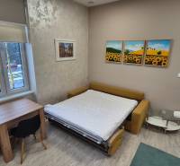 Na prenájom  plne zariadený apartmán na Južnej triede 44, Košice - Izba s rozkladacou pohovkou, stolom a kreslom, podlaha s dreveným dekorom.