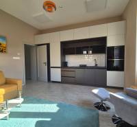 Na prenájom  plne zariadený apartmán na Južnej triede 44, Košice - Interiér 1-izbového bytu s kuchynskou linkou, zeleným kobercom a podlahou s dreveným dekorom.