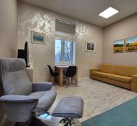 Na prenájom  plne zariadený apartmán na Južnej triede 44, Košice - Obývacia izba 1-izbového bytu s kreslom, pohovkou a stolom, podlaha s dreveným dekorom.