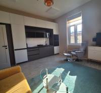 Na prenájom  plne zariadený apartmán na Južnej triede 44, Košice - Svetlá obývacia izba v 1-izbovom byte s kuchyňou a podlahou s dreveným dekorom.