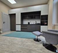 Na prenájom  plne zariadený apartmán na Južnej triede 44, Košice - Kuchyňa v 1-izbovom byte s podlahou s dreveným dekorom a pohodlným kreslom.