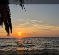  ZUKVE/VRSI - dvojizbový apartmán - 130 m od mora - Západ slnka nad morom, palmové listy v popredí, oceňujúce známky pre reality.