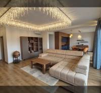  ZUKVE/VRSI - dvojizbový apartmán - 130 m od mora - Obývacia izba v Rekreačnom apartmáne s podlahou s dreveným dekorom, pohovkou a závesnými svetlami.