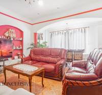 NA PREDAJ RODINNÉ DOMY S GARÁŽOU, DUNAJSKÁ STREDA - Obývačka v rodinnom dome s koženou sedacou súpravou, televízorom a dekoráciami.