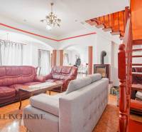 NA PREDAJ RODINNÉ DOMY S GARÁŽOU, DUNAJSKÁ STREDA - Obývacia izba v rodinnom dome s krbom, schodiskom a pohodlným koženým nábytkom.