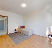 Krásny moderne zariadený 3-izb. byt I novostavba I Stupava - Svetlá izba s pohovkou, kobercom a podlahou s dreveným dekorom v 3-izbovom byte.