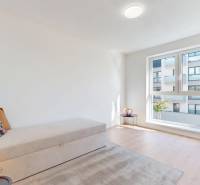 Krásny moderne zariadený 3-izb. byt I novostavba I Stupava - Izba v 3-izbovom byte s pohovkou, rastlinou a veľkým oknom, podlaha s dreveným dekorom.