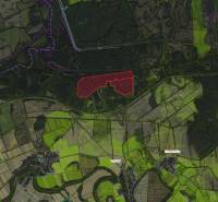 Boľ – 1.367 m2 LESNÉ POZEMKY - Mapa poľnohospodárskych a lesných pozemkov v okolí Boľa.