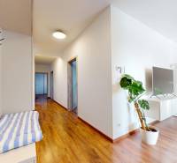 | Exkluzívny 4-izbový byt s obrovskou terasou | Stupava - Chodba v 4-izbovom byte s dekoračnou podlahou, rastlinou a zrkadlom.