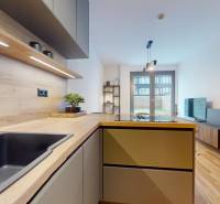 METROPOLIS I Nový Luxusný 2i byt s predzáhradkou I - Kuchyňa v 2-izbovom byte s podlahou s dreveným dekorom, umývadlom a spotrebičmi.